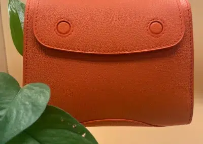 Sac à main orange avec plante verte