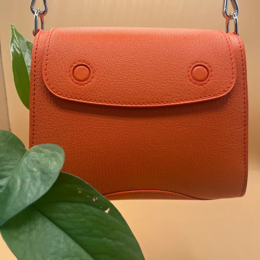 Sac à main orange avec plante verte