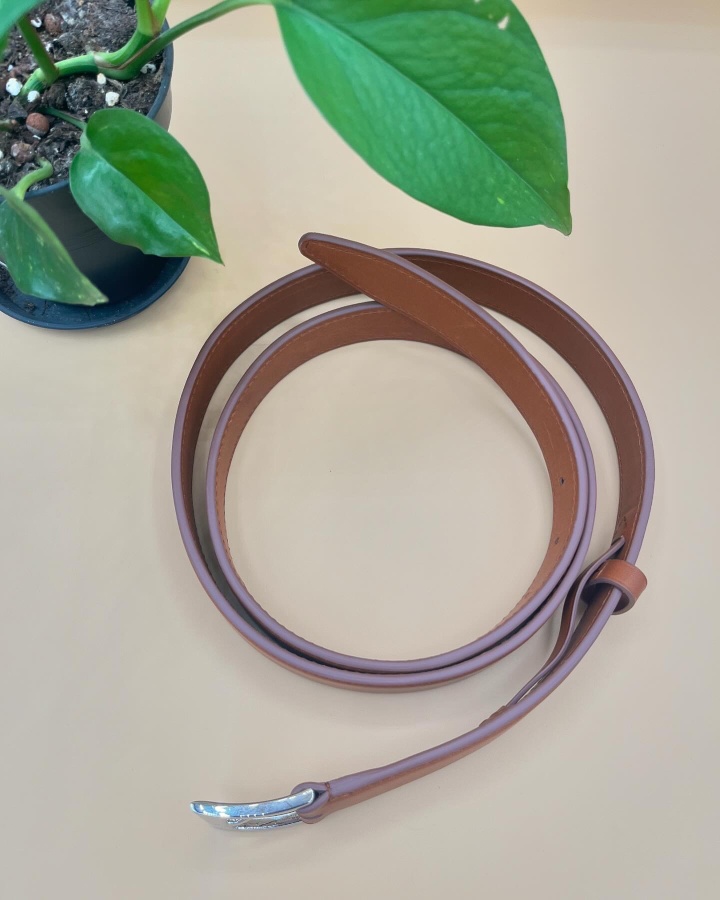 Ceinture en cuir marron avec boucle argentée près d'une plante